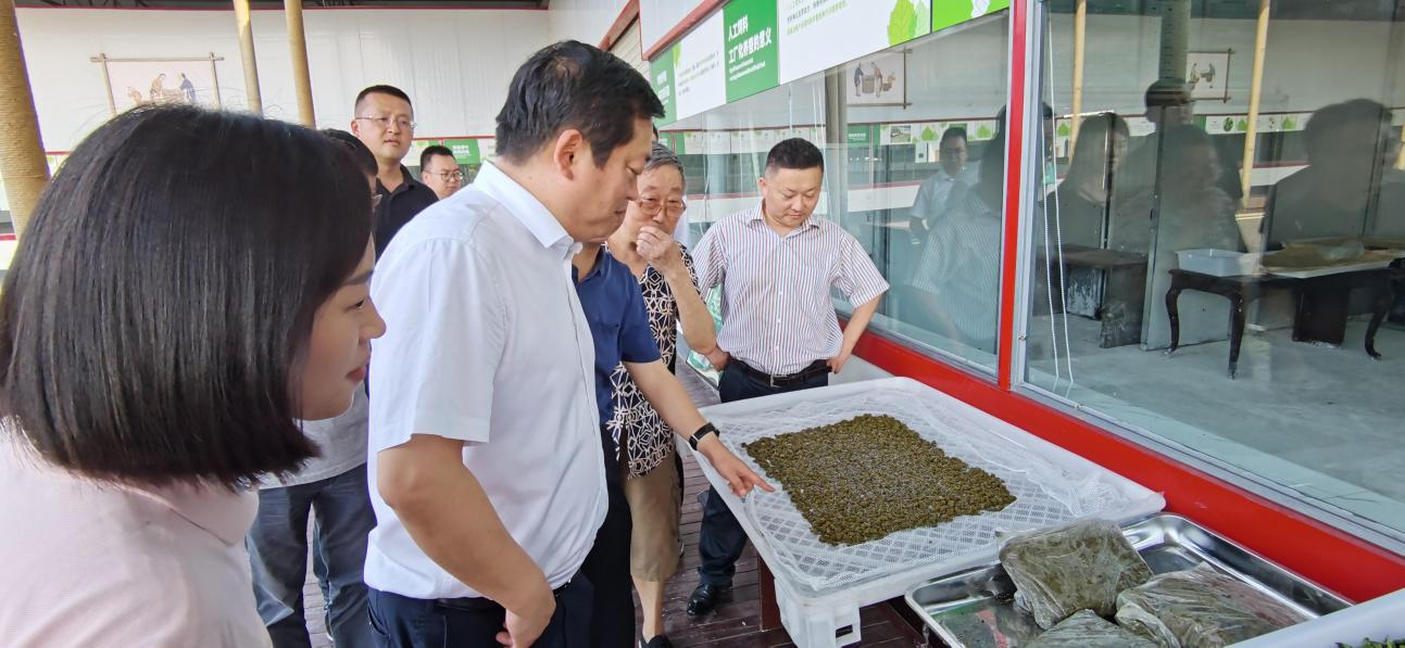 省尊龙凯时集团党委副书记、董事陈日赴嘉陵区调研茶桑产业发展情况